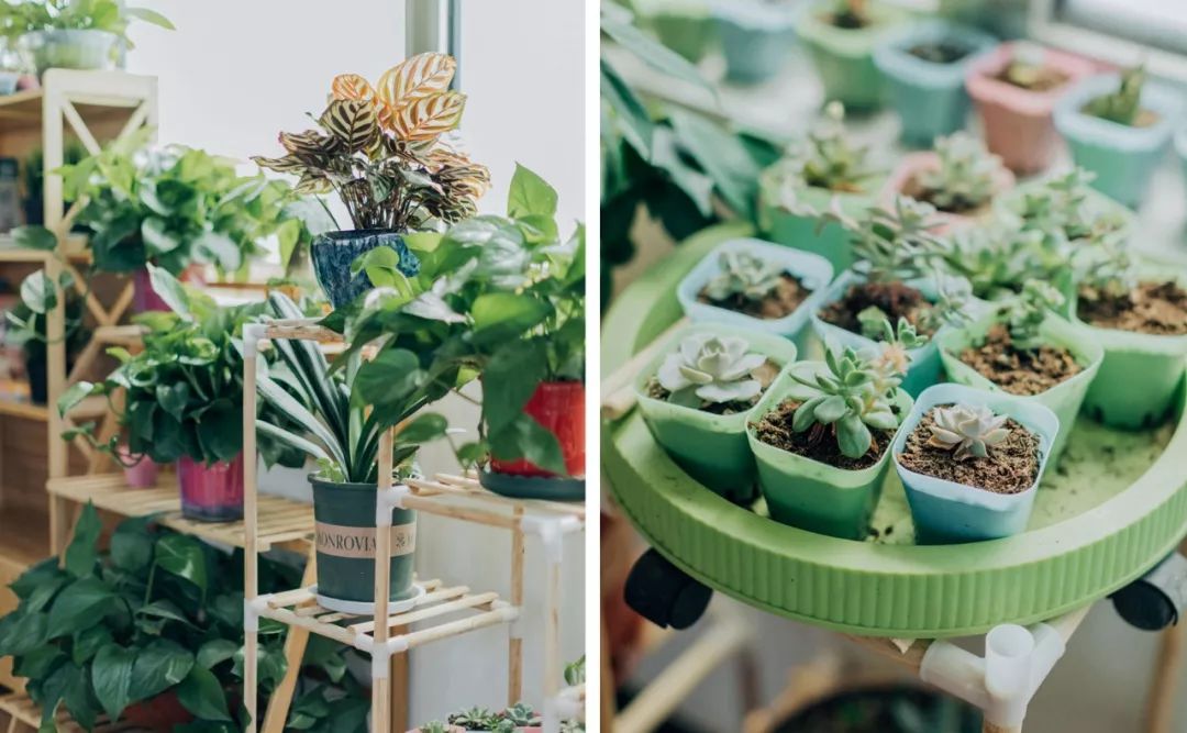 野三坡山水闲居民宿,野三坡民宿网红独院20人