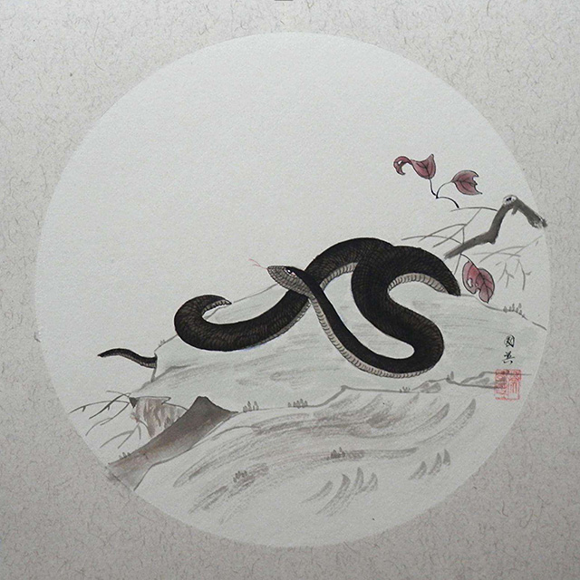 蛇为什么要三年后才报仇,蛇真的会报仇吗