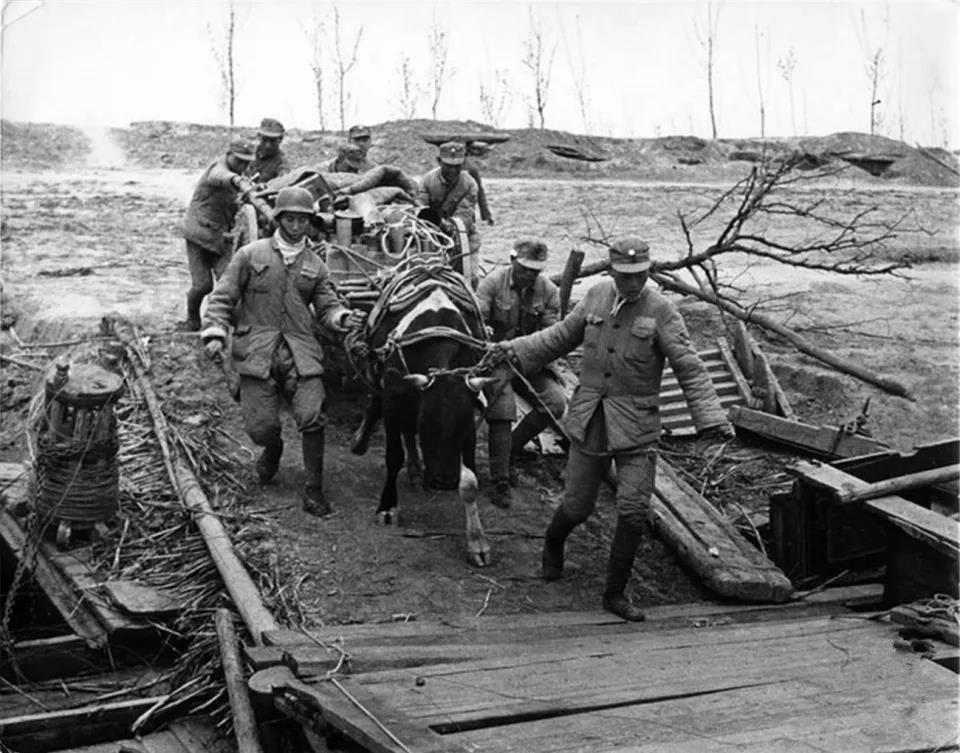 台儿庄战役共死亡多少人,台儿庄战役为什么那么惨烈