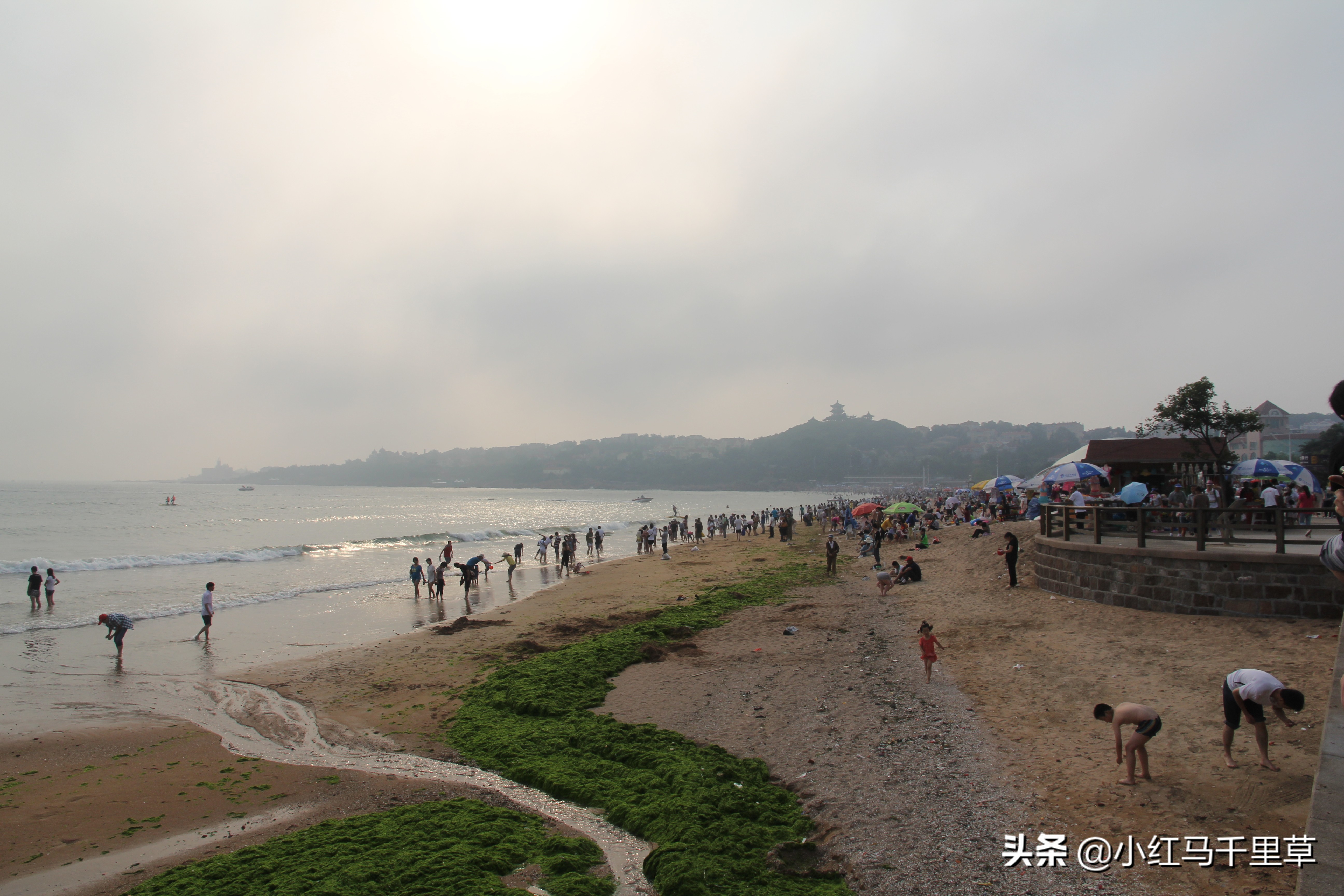 好客山东青岛旅游攻略,好客山东浪漫青岛