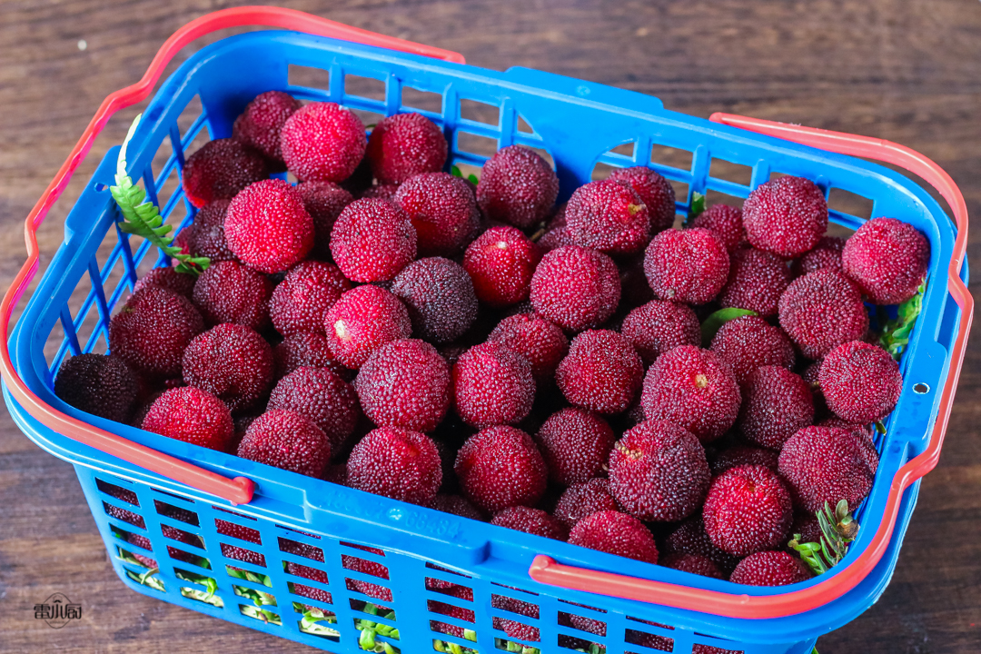 给大家分享清洗杨梅的方法,果农洗杨梅