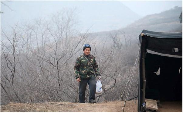 山西大爷山中发现金凤凰,山西老人养金凤凰第三集