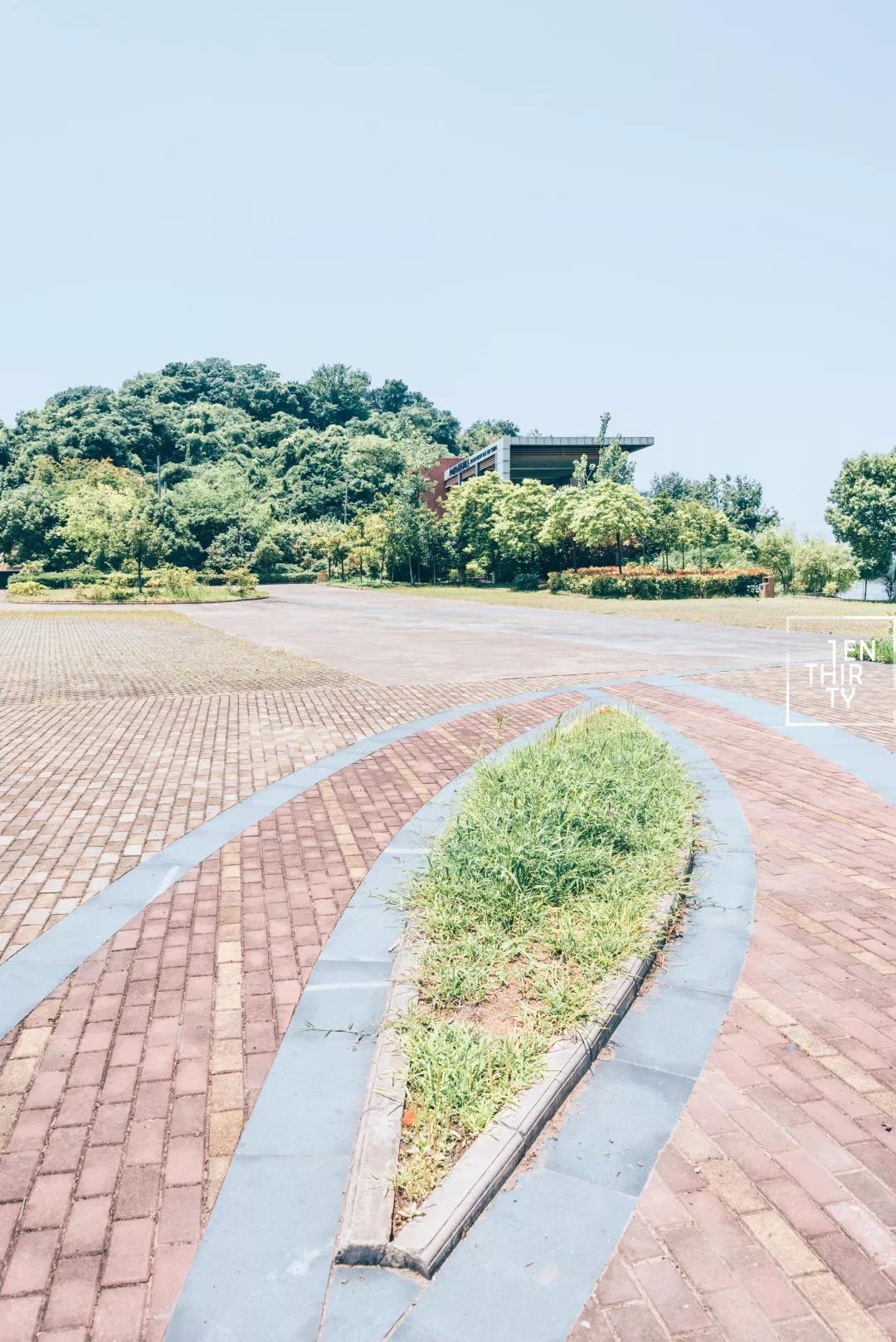 用66张照片回忆2020年,江夏高清图片