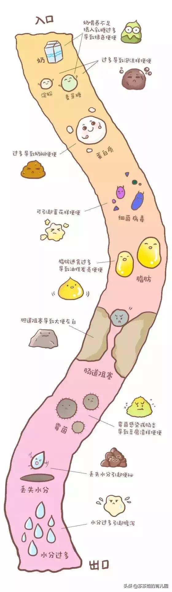 新生儿宝宝拉便便，你能看出暗藏的疾病信号吗？一看“便”知！