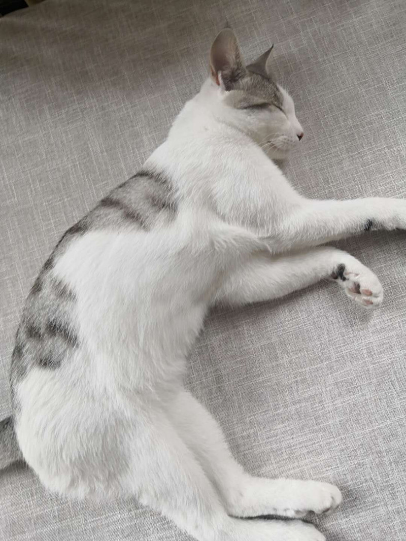 成都机场附近快捷酒店推荐,暑假成都旅游住宿