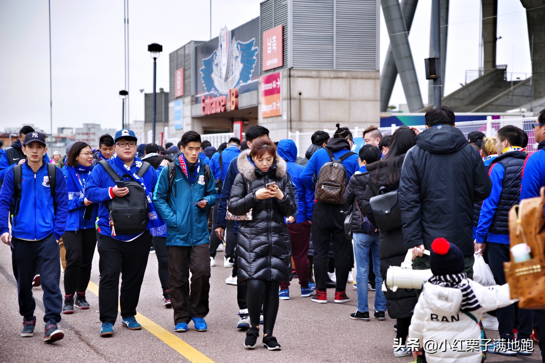 疫散花开张家界,疫散花开欢迎归来