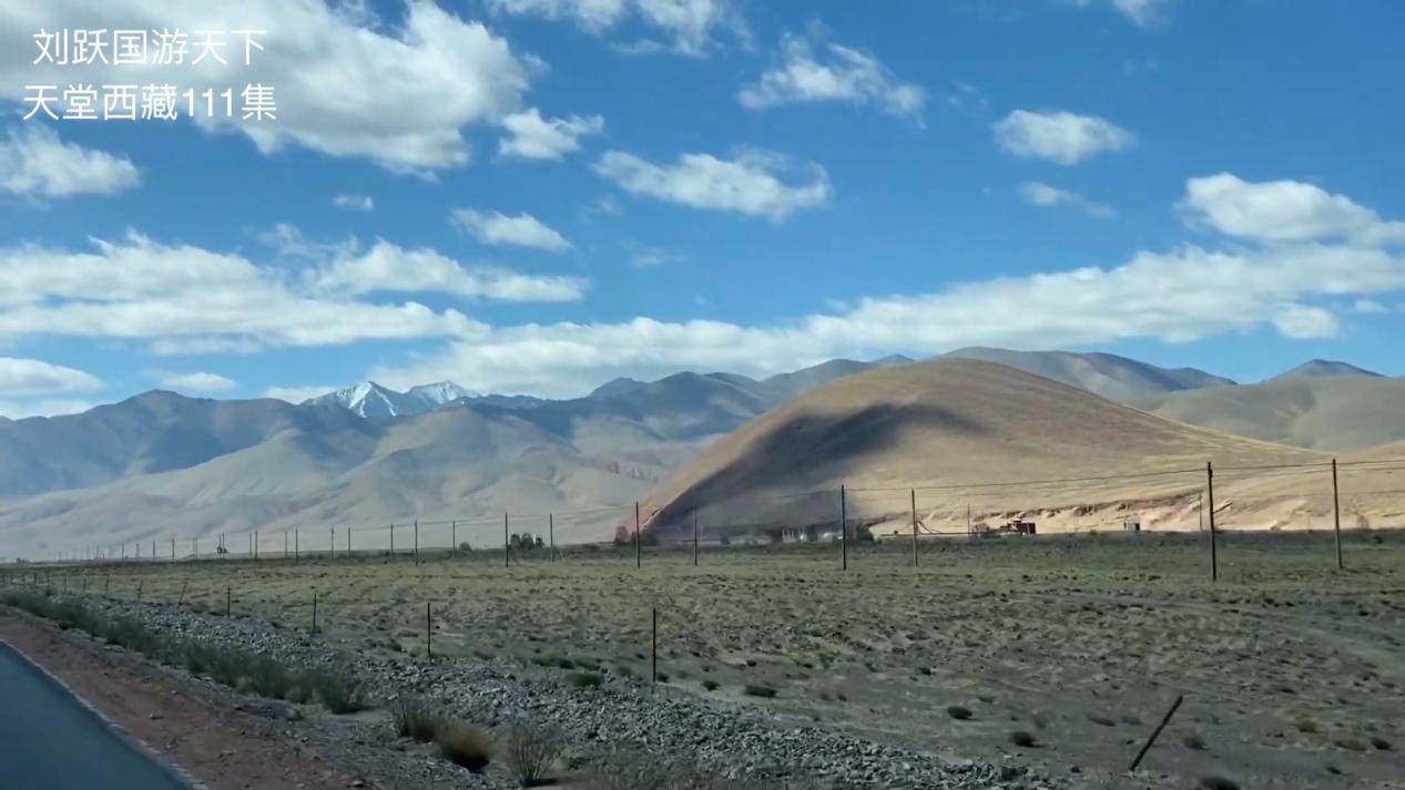 天堂*藏西**-好吃的草成了扶贫开发的头号工程，牛羊就快乐起来啦