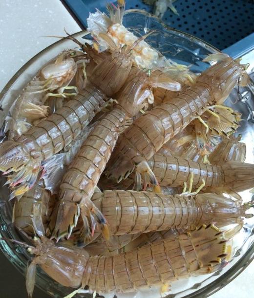 皮皮虾镉超标为什么,皮皮虾镉超标是因为什么