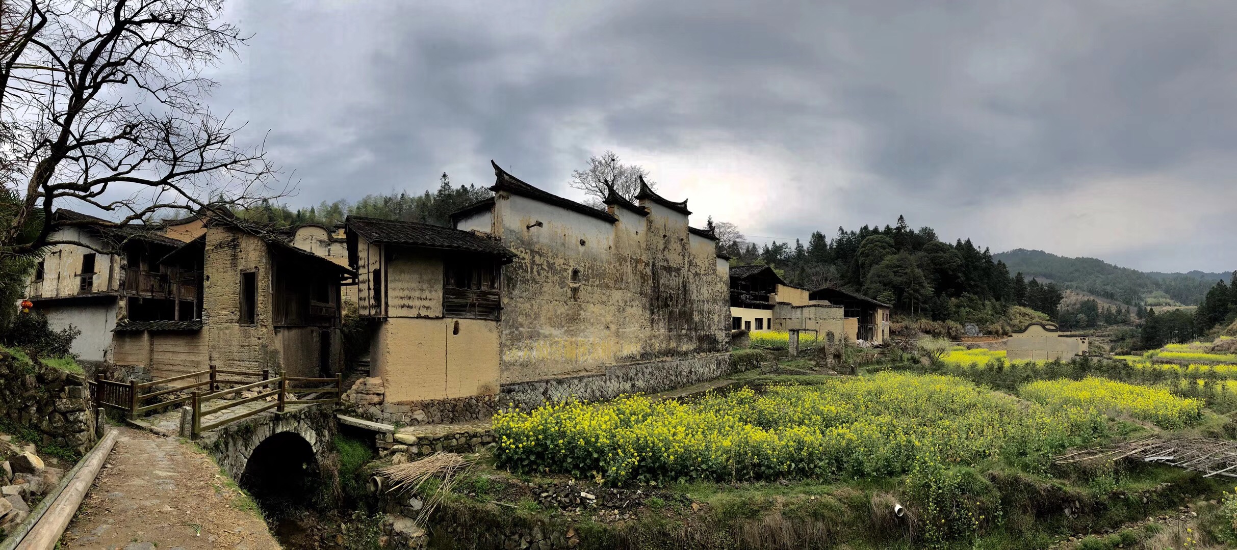 程美信:一位山居艺术家的使命