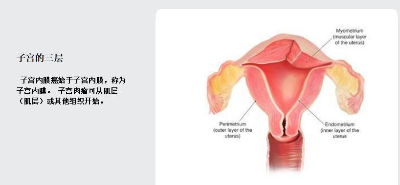 谈癌色变属于条件反射吗,谈癌色变怎么解释
