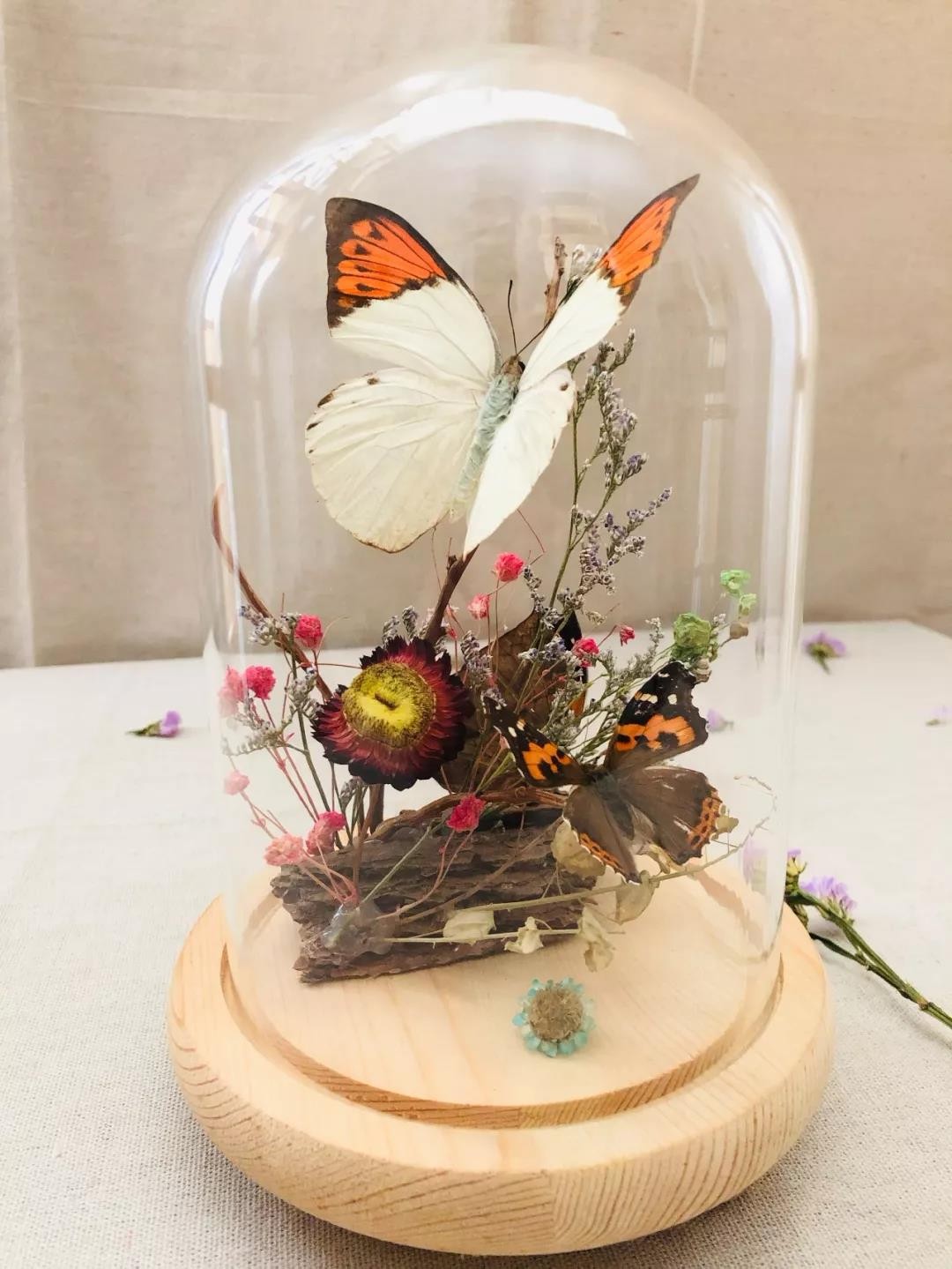 欧亚大观乐活城有活动吗,欧亚大观乐活城玩的地方