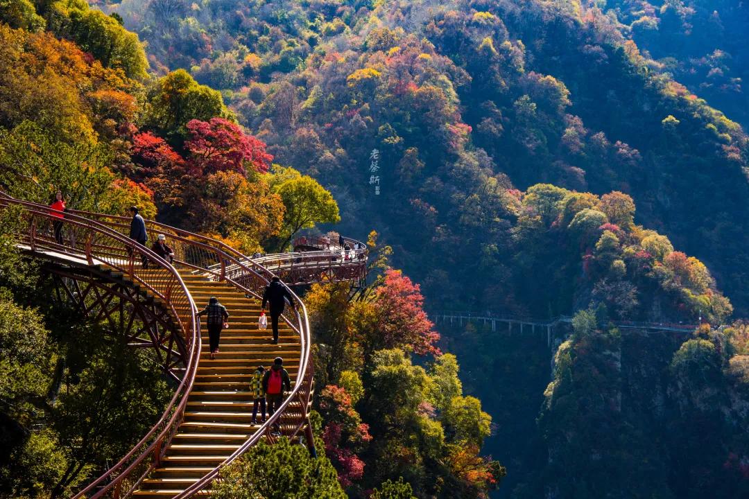 少华山冬天一日游最佳攻略,少华山国庆旅游图片