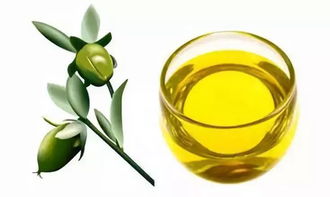 击退干燥油你掌控