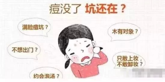 科普桑葚健康知识,科普知识解决生活问题