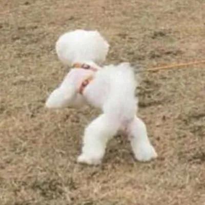 男生会用什么理由亲女朋友,男生为什么想要亲女朋友