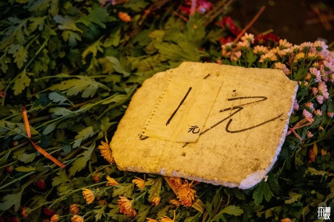 广州最便宜的花卉市场1块钱,广州岭南花卉市场买花攻略