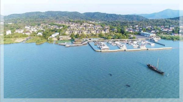 都挺好苏明玉霸气回归完整版,都挺好苏明玉资产