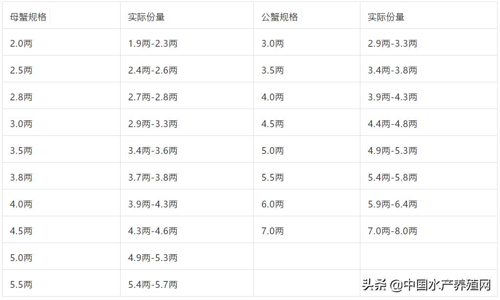 苏蟹阁年会,苏蟹阁阳澄湖大闸蟹上海