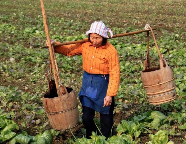 人尿在农业上有啥用,人粪尿对农作物的作用