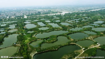 养鱼调水教学视频,小鱼塘养鱼怎样调水