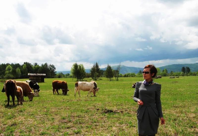 沙爽的活着写作背景,沙爽作品