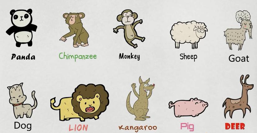 动物英语名称视频大全,兔小贝英语宝典动物名称