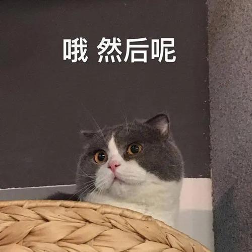 吃瓜沙雕表情包,看瓜群众表情包