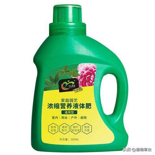 水养植物液体营养液,最厉害的养花营养液是什么