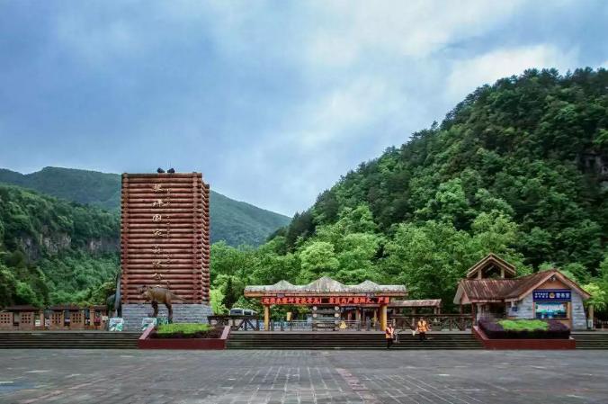 春天的周末最适合踏青,周末去踏青最好的地方