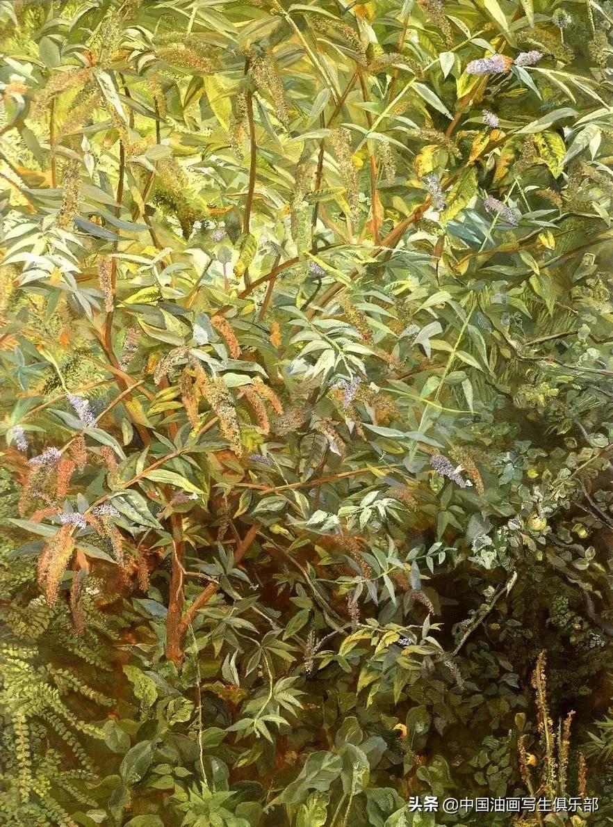 卢西安弗洛伊德,卢西安弗洛伊德赏析