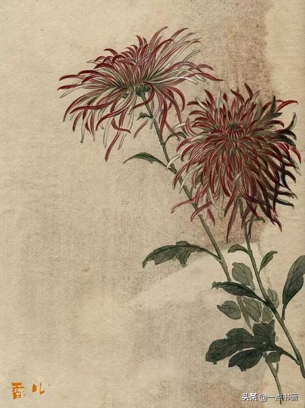 缪谷瑛菊花国画作品专辑,缪谷瑛菊花画法