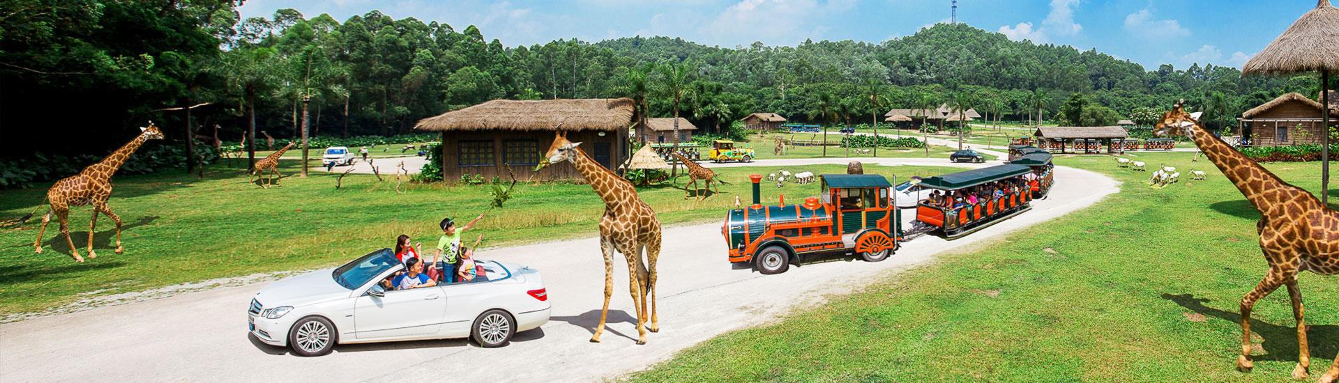 广州长隆亲子旅行,长隆亲子寻游季