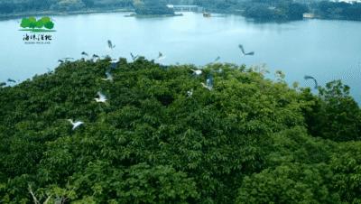 广州周边游一日游刺激,广州周边特价游