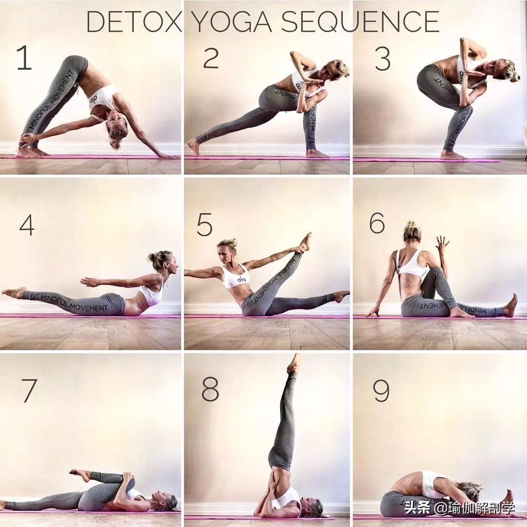 给大家推荐一套瑜伽练习序列,最适合瑜伽初学者练的50个体式