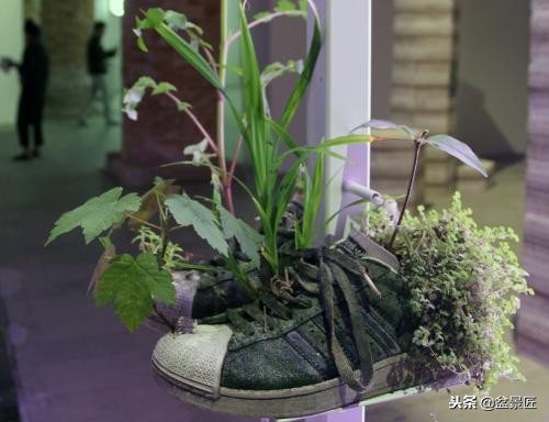 废物改造花盆绿植,旧物改造吊兰花盆