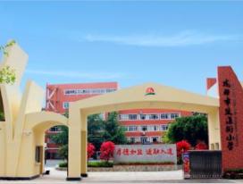 成都盐道街小学是五朵金花吗,成都5朵金花小学在哪里