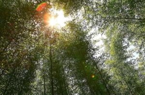 江苏省盐城市经济状况,盐城简介江苏省地级市