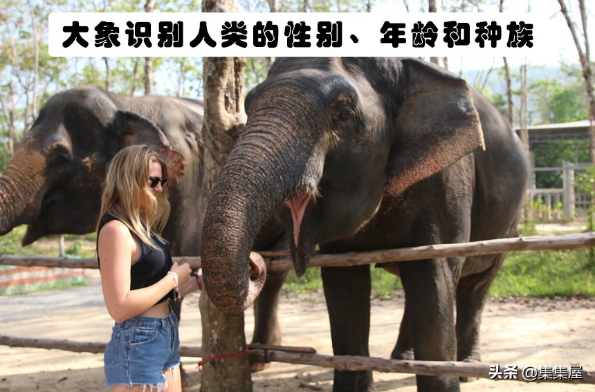 学习动物的基本知识,关于动物的20个问题