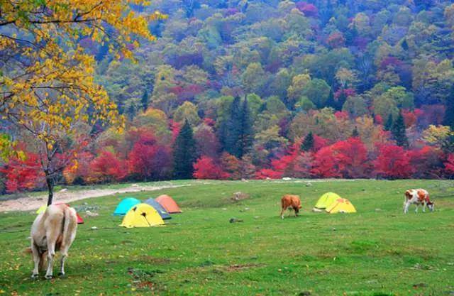 吉林美翻天旅游攻略路线,吉林必去的旅游清单