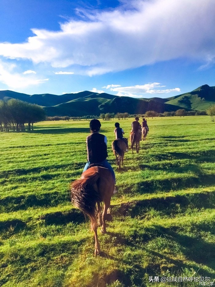 我来到你的城市走过你熟悉的街,我来到你的城市走过你走的路