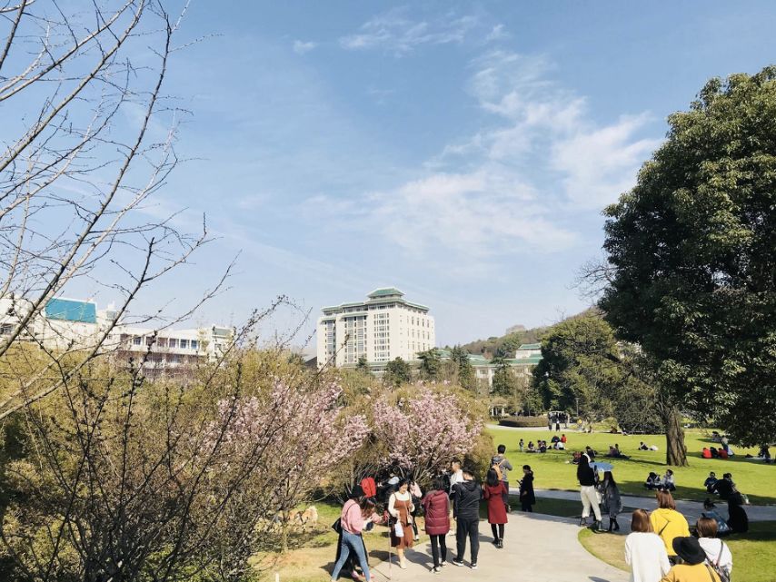 “我还没见过有那个城市的春天，能比武汉还美！”