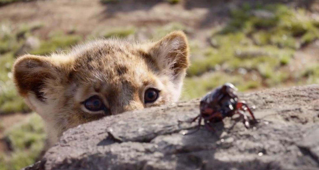 新版狮子王值得看吗,新版狮子王值得买吗