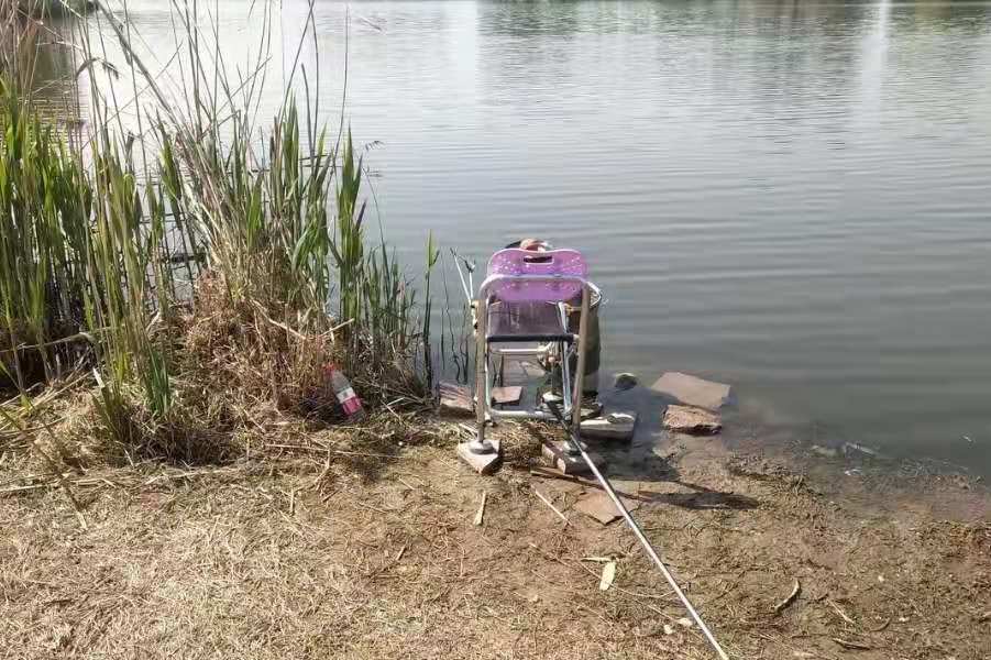 天气热大板鲫为什么钓不到了,气温高了传统钓就不行了