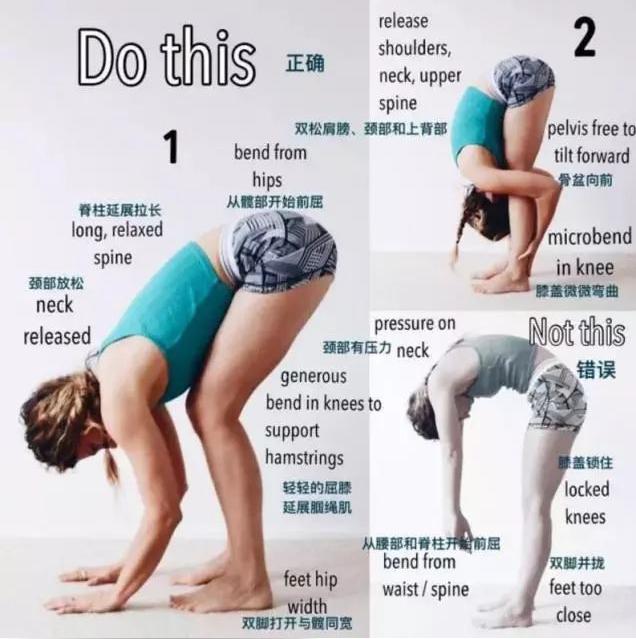 为什么有的人站立体前屈很艰难,站立体前屈立不下去