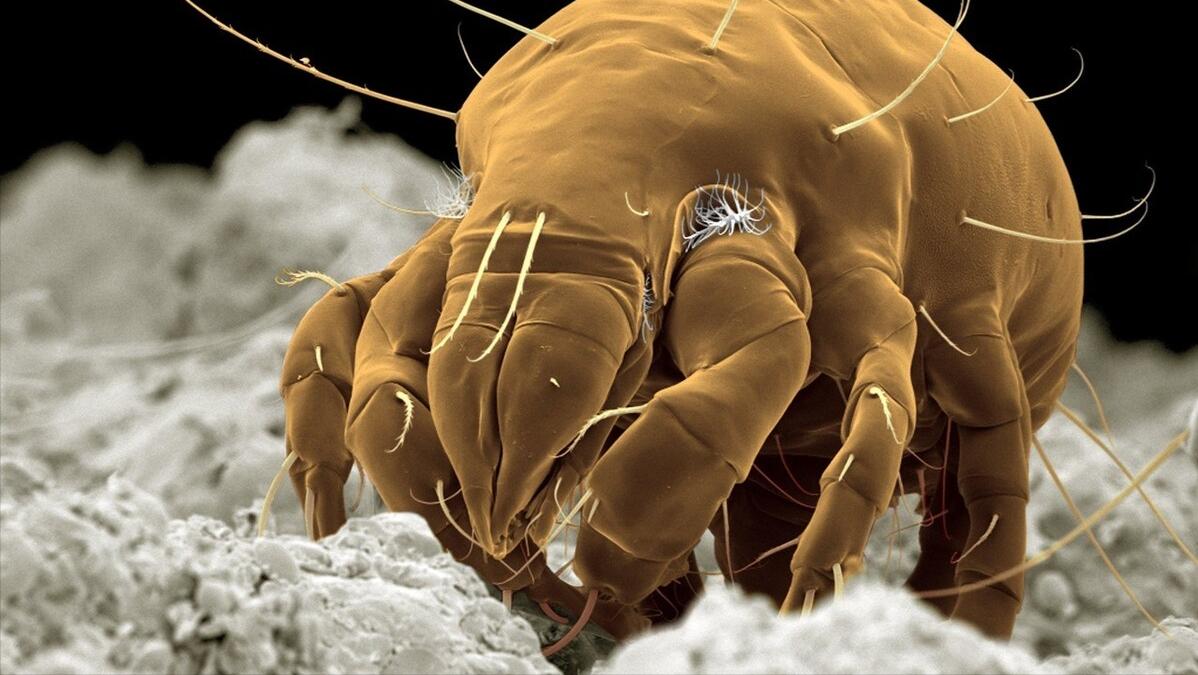 反手抓后背,反手抓