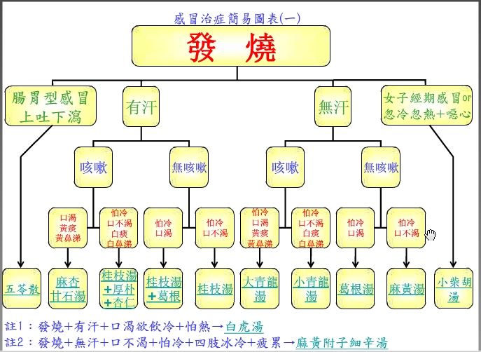 感冒治也七天，不治也七天？