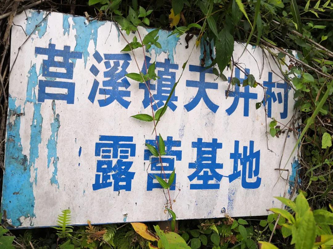 我要去旅行英文,我要去旅行完整版