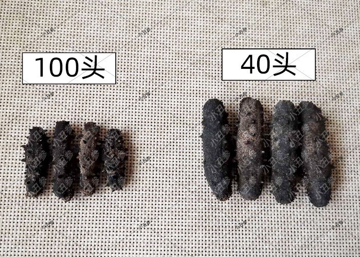 便宜海参和贵海参的区别是什么,贵的海参和便宜的海参区别在哪里