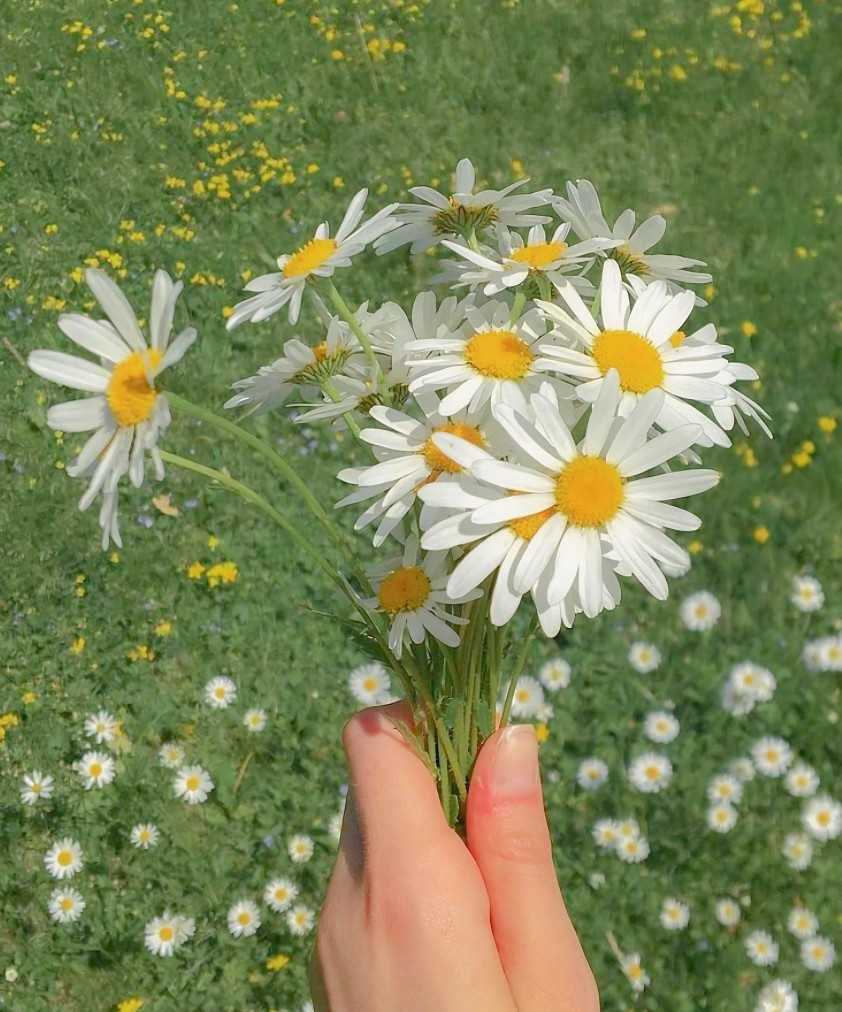 回廊落月第26章,回廊落月41