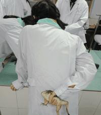 爆笑gif动图,看一遍笑哈哈的gif搞笑动图